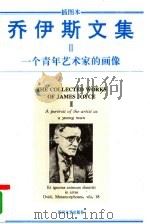 一个青年艺术家的画像（1995 PDF版）