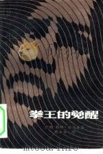 拳王的觉醒（1983 PDF版）