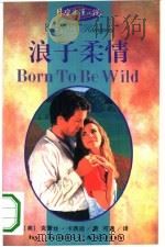 浪子柔情（1994 PDF版）
