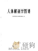 人体解剖学图谱（1961 PDF版）