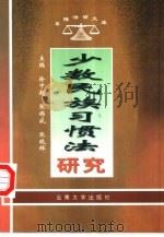 少数民族习惯法研究（1998 PDF版）
