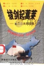 拔剑起蒿莱  回应边关的召唤（1997 PDF版）