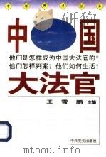 中国大法官（1994 PDF版）