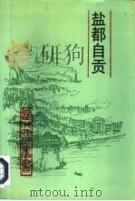 盐都自贡（1992 PDF版）