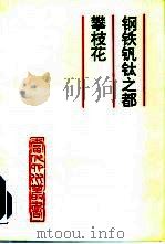 钢铁钒钛之都攀枝花（1993 PDF版）