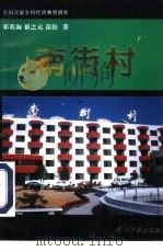 南街村（1996 PDF版）