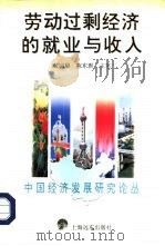 劳动过剩经济的就业与收入（1996 PDF版）