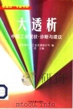 大透析  中国工业现状·诊断与建议（1998 PDF版）