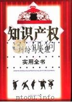 知识产权纠纷与处理实用全书  上（1999 PDF版）