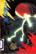 大脑风暴  文化工业探寻（1993 PDF版）