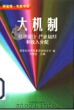 大机制  经济运行·产业组织和收入分配（1998 PDF版）