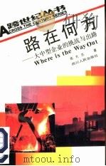 路在何方  大中型企业的挑战与出路（1992 PDF版）