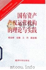 国有资产产权运营机构的理论与实践（1995 PDF版）