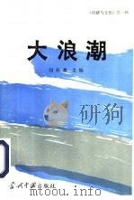 经济与文化  第一辑：大浪潮（1994年09月第1版 PDF版）