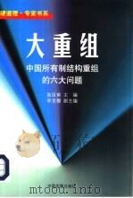 大重组  中国所有制结构重组的六大问题（1998 PDF版）