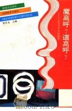 魔高乎?道高乎?  贪污与审计的较量（1993 PDF版）