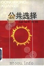 公共选择（1993 PDF版）