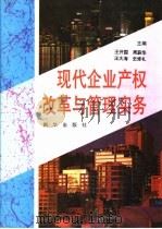 现代企业产权改革与管理实务（1995 PDF版）