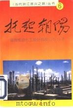 托起朝阳 镇海炼油化工股份有限公司20年 1995 PDF电子版封面 7800923800 胡家宾,胡洪飞主编;杜志炎等编著