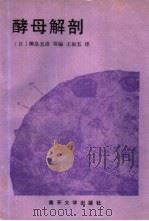 酵母解剖（1990 PDF版）