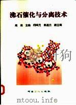 沸石催化与分离技术（1999 PDF版）