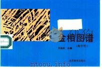 金相图谱  教学用（1994 PDF版）