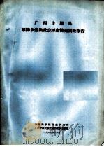 广西上思县思阳乡壮族社会历史调查报告（1963 PDF版）