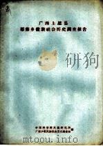广西上思县那荡乡僮族社会历史调查报告（1963 PDF版）