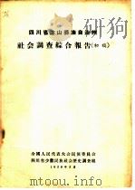 四川省凉山彝族自治州社会调查综合报告  初稿（1958 PDF版）