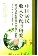 中国居民收入分配再研究  经济改革和发展中的收入分配（1999 PDF版）