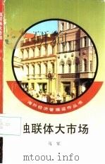 独联体大市场 1994 PDF电子版封面 7010018987 马军著