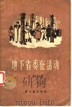 地下省委在活动  （上册）（1956 PDF版）