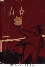 青春 1958 PDF电子版封面 10009·367 (苏)亚历山大·鲍依琴柯著;孺子牛译