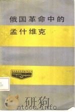 俄国革命中的孟什维克（1985 PDF版）