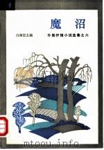 魔沼 1984 PDF电子版封面 10378·3 白嗣宏主编