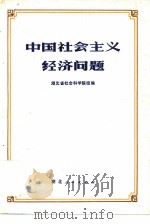 中国社会主义经济问题 1979 PDF电子版封面 4106·229 湖北省社会科学院组编