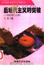 后现代主义的突破  外国后现代主义理论（1996 PDF版）