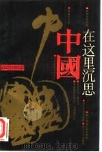 中国在这里沉思（1989 PDF版）
