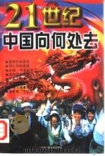 21世纪中国向何处去（1997 PDF版）