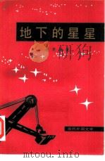 地下的星星（1980 PDF版）