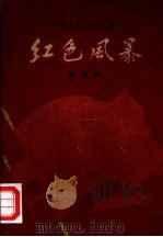 红色风暴  江西革命斗争故事  第5集（1959 PDF版）