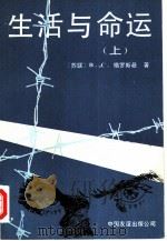 生活与命运  上（1989 PDF版）