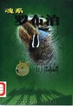 魂系罗布泊（1999 PDF版）