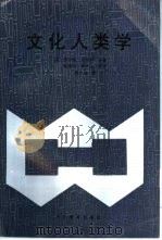 文化人类学（1993 PDF版）