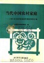 当代中国农村家庭  14省  市  农村家庭协作调查资料汇编（1993 PDF版）