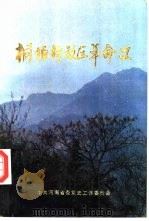 桐柏解放区革命史（1990 PDF版）