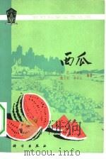 西瓜（1981 PDF版）