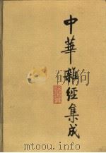 中华杂经集成  第3卷  术数类  工艺类  艺术类  医家类（1994 PDF版）