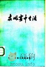 在烟雾中生活（1981 PDF版）