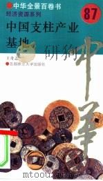 中国支柱产业基地（1994 PDF版）